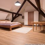 Rent 2 bedroom apartment of 93 m² in Freiburg im Breisgau