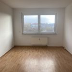 Rent 2 bedroom apartment of 50 m² in Mücheln