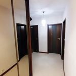 Rent 1 bedroom apartment of 55 m² in Lublin