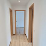 Rent 3 bedroom apartment of 60 m² in Hohenstein-Ernstthal