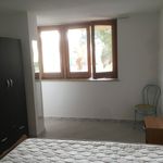 Affitto 2 camera appartamento di 65 m² in Palermo