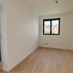 Rent 5 bedroom house of 170 m² in Schaerbeek