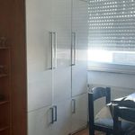 Rent 1 bedroom apartment of 35 m² in Jakovlje