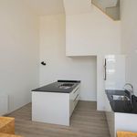 Rent 1 bedroom house of 128 m² in Arnhem