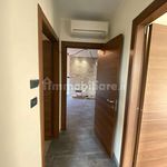 Affitto 4 camera appartamento di 130 m² in Rivalta di Torino