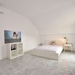 Rent 4 bedroom apartment of 113 m² in Szczecin