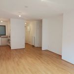 Rent 2 bedroom apartment of 62 m² in Wien