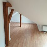Rent 1 bedroom apartment of 28 m² in Altmittweida