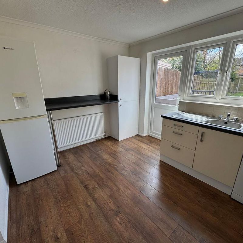 2 bedroom semi-detached house to rent Widford