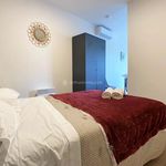 Rent 1 bedroom apartment of 30 m² in Albi
