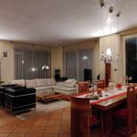 Rent a room of 390 m² in Abbiategrasso