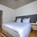 Rent 1 bedroom apartment of 50 m² in Praha 1