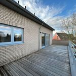 Rent 2 bedroom apartment in Tielt-Winge