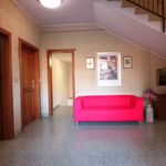 Rent 1 bedroom apartment of 90 m² in Roma