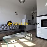 Rent 1 bedroom apartment of 22 m² in Szczecin