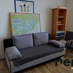 Rent 3 bedroom apartment of 70 m² in Cesky Krumlov