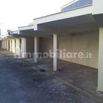 Rent 4 bedroom apartment of 110 m² in Porto Cesareo