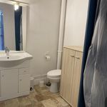Rent 1 bedroom apartment of 28 m² in Mas-Saintes-Puelles