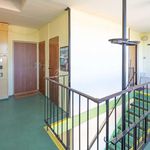 Rent 2 bedroom apartment of 40 m² in Neratovice