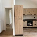 Rent 3 bedroom apartment of 88 m² in Torino