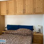 Rent 2 bedroom apartment of 50 m² in Santa Cristina