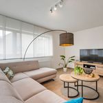 Rent 2 bedroom house of 91 m² in Sint-Niklaas