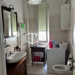 Rent 1 bedroom apartment in Livorno