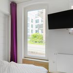 Rent 2 bedroom apartment of 31 m² in Hamburg