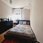 Rent 2 bedroom apartment in Lodz