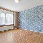 Rent 3 bedroom house of 156 m² in Molenschot