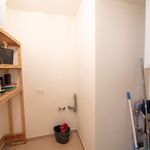 Huur 2 slaapkamer appartement van 100 m² in Waregem