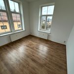 Rent 1 bedroom apartment of 76 m² in Mülsen