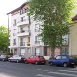 Rent 2 bedroom apartment of 45 m² in Tours
