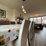Huur 3 slaapkamer appartement van 139 m² in Dendermonde