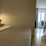 Alquilo 1 dormitorio apartamento de 60 m² en Madrid