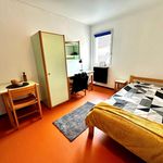 Rent 1 bedroom apartment of 16 m² in Belfort
