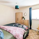Rent 1 bedroom flat in Knockramer