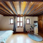 Huur 4 slaapkamer huis van 209 m² in Antwerpen