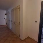 Rent 4 bedroom apartment of 83 m² in Marseille