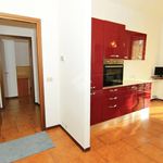 Rent 2 bedroom apartment of 58 m² in Gavi