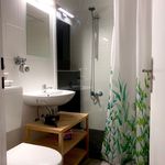 Rent 1 bedroom apartment of 31 m² in Nürnberg