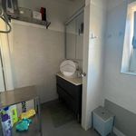Rent 1 bedroom apartment of 28 m² in Bagnolo Piemonte