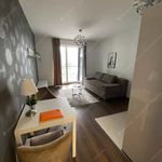 Rent 1 bedroom apartment of 30 m² in Budapest