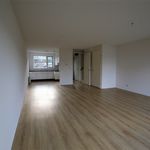Rent 3 bedroom house of 125 m² in Naarden