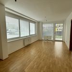 Rent 2 bedroom apartment of 56 m² in Graz