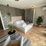 Rent 3 bedroom apartment of 70 m² in Ičići