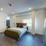 Rent 1 bedroom apartment in   Nottingham