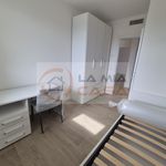 Rent a room of 90 m² in Legnaro
