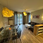 Rent 2 bedroom apartment of 44 m² in Poznań