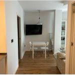 Alquilo 1 dormitorio apartamento de 52 m² en Sevilla